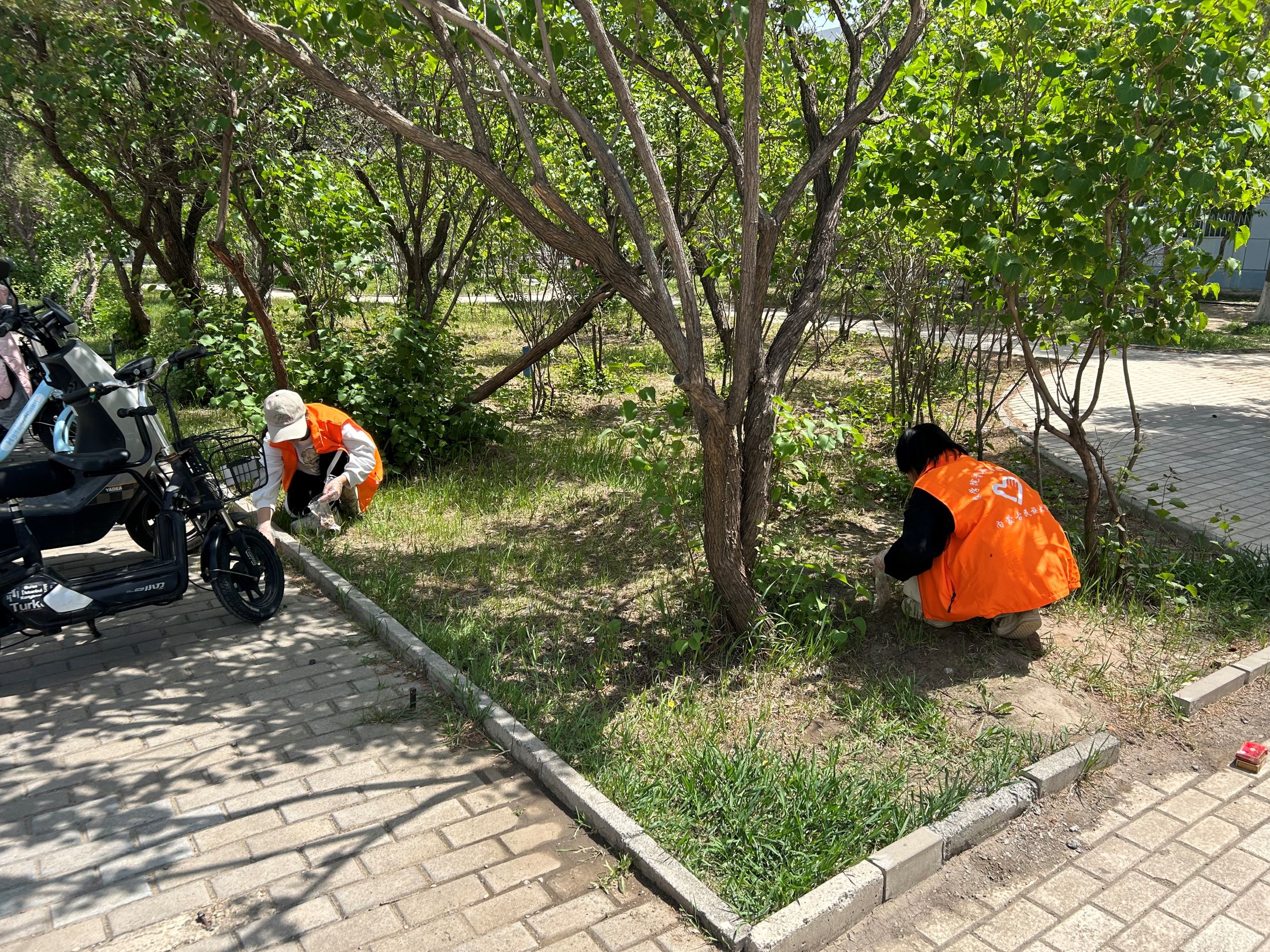 微信图片_20240517215126.jpg 微信图片_20240517215126.jpg