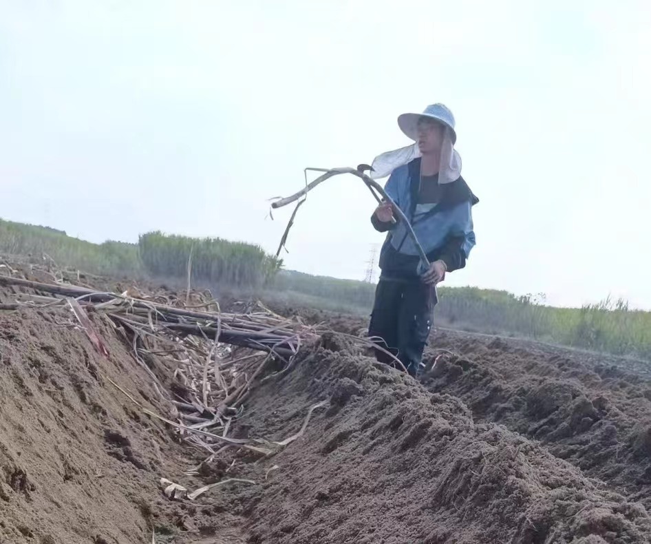 微信图片_20240511211102.jpg 微信图片_20240511211102.jpg