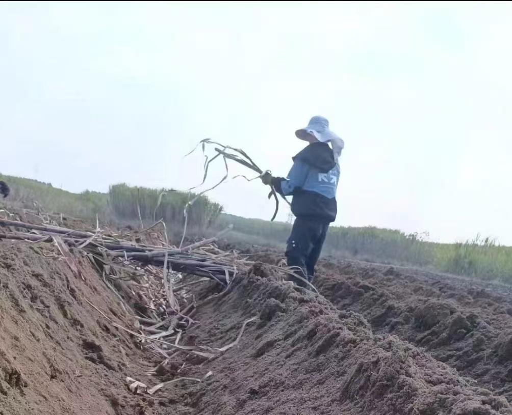 微信图片_20240511211056.jpg 微信图片_20240511211056.jpg