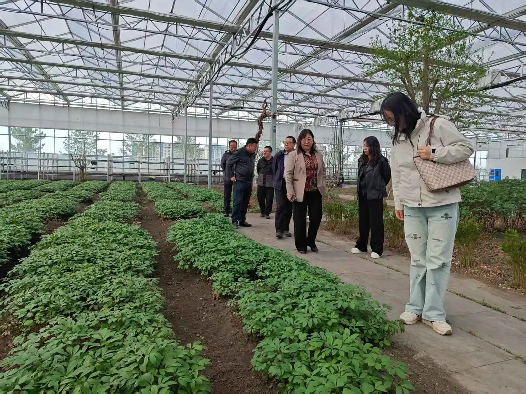 贾俊英院长带队赴兴安盟开展“访企拓岗” 促就业暨校外实践教学基地签约活动